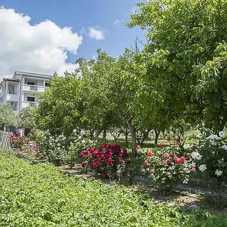 アパート In With Sea View, Balcony, Air Conditioning, Wifi